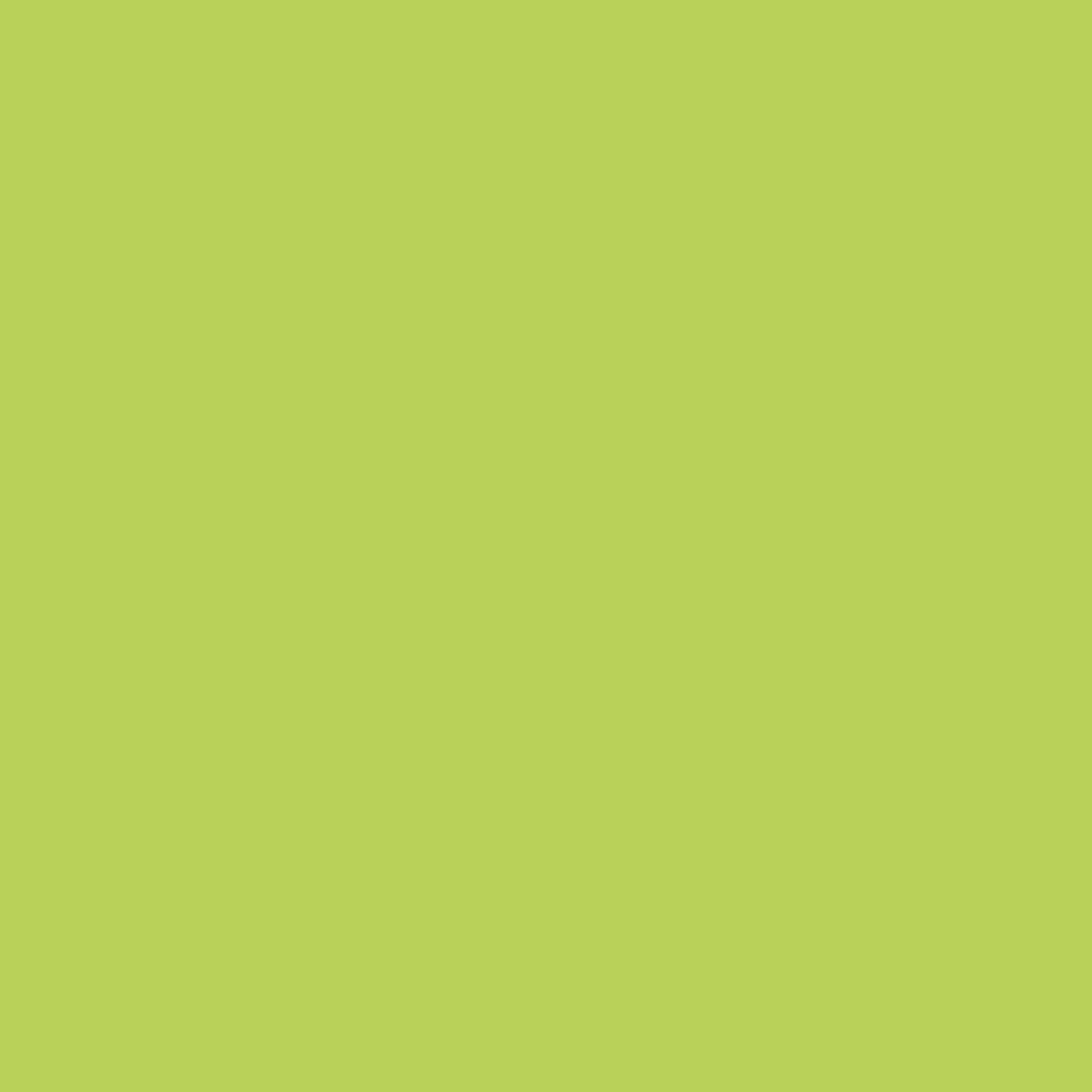 PVC paneel wandbescherming 2 mm. Kleur : Bamboo