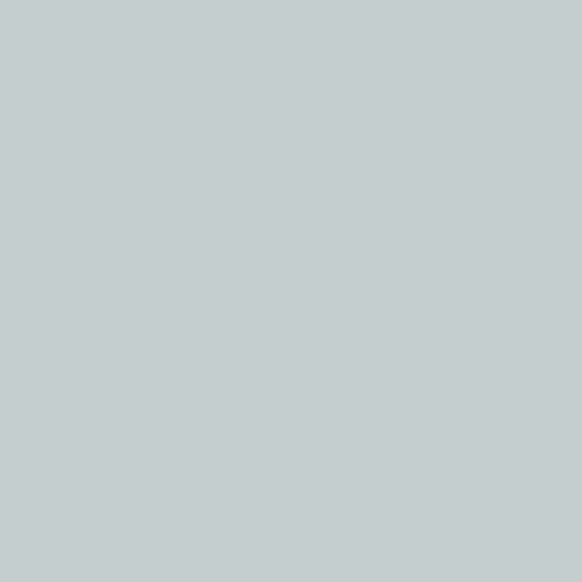 PVC paneel wandbescherming 2 mm. Kleur : Pebble
