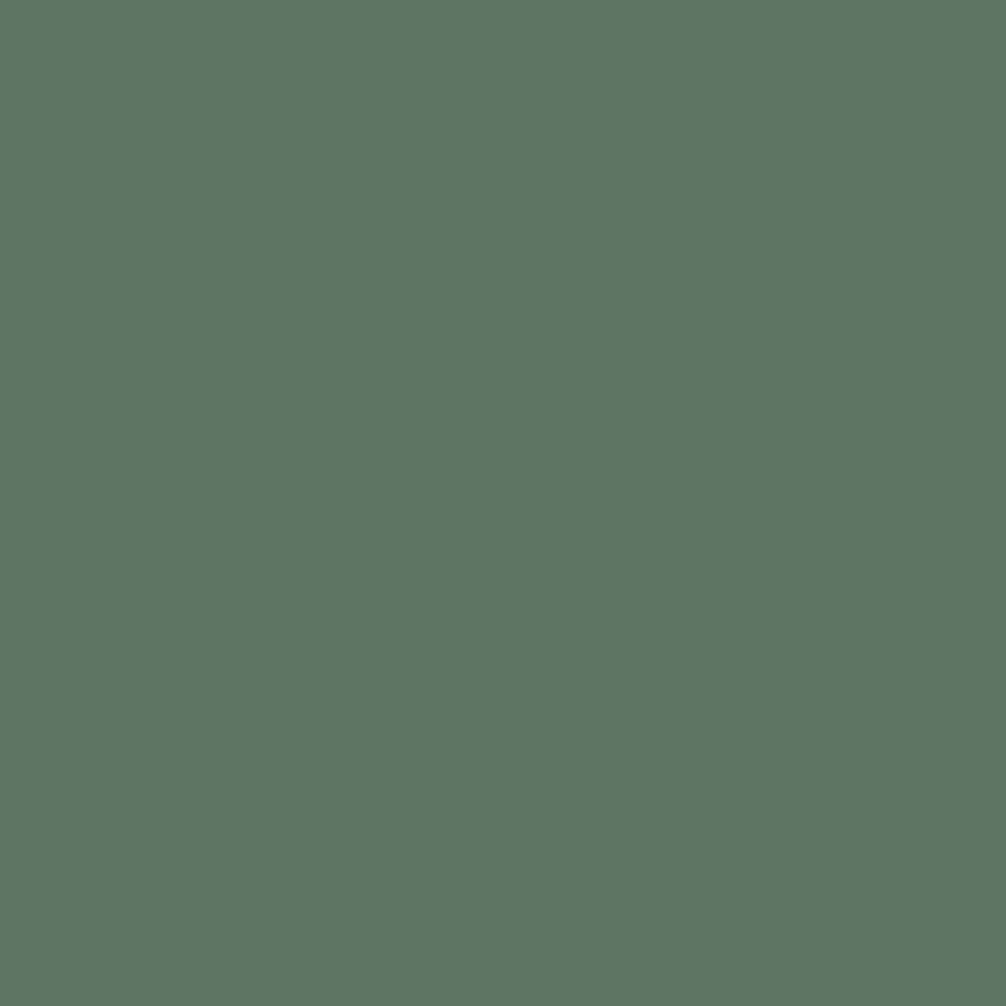 PVC paneel wandbescherming 2 mm. Kleur : Fern