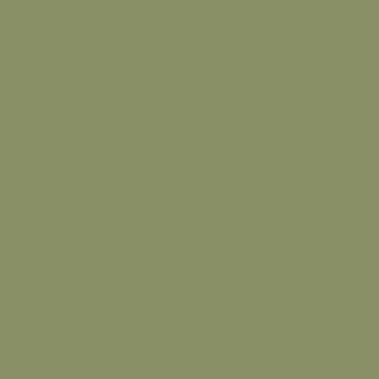 PVC paneel wandbescherming 2 mm. Kleur : Linden